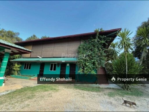RAUB KG TRAS DURIAN ORCHARD