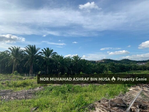 Tanah Kebun Kelapa Sawit Tepi Hinghway Changlun, Kedah