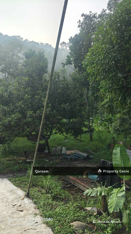 2.8 Ekar Sungai dan Dusun Sungai Congkak Hulu Langat