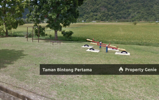 Taman Bintong Pertama
