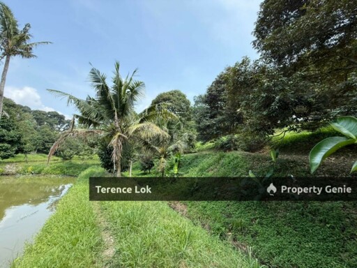 Hosapa, Titi Jelebu Mainroad Land