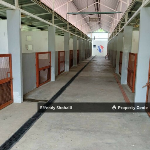 JELEBU KENABOI KG CHENNAH AGRICULTURAL LAND