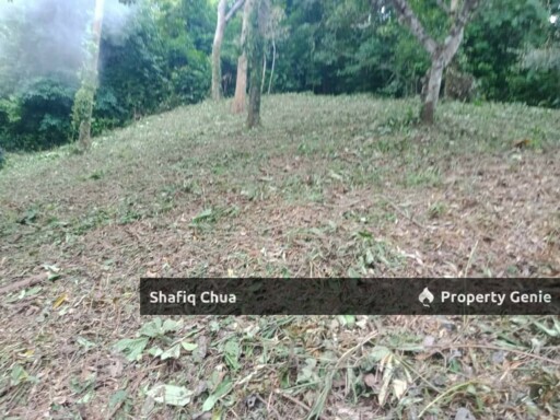 Beautiful Orchard Land for Sale in Ulu Melaka, Langkawi
