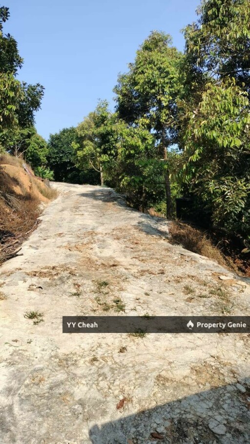Kuala Kangsar Perak - freehold agriculture for sale, 4 acres, easy access