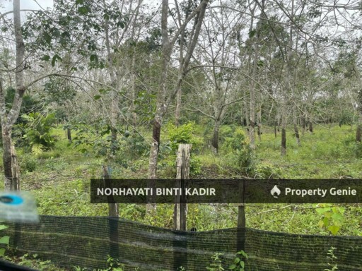 TANAH PERTANIAN KEBUN GETAH 7.5 EKAR DI PENOR