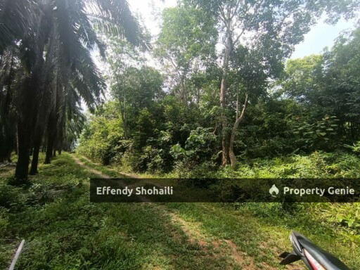 TEMERLOH KERDAU DEVELOPMENT LAND