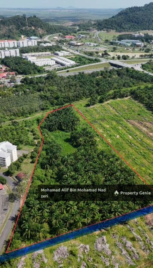 Tanah Ladang Kelapa Sawit untuk Di Jual | Geran Individu