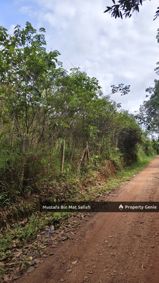 [Kebun Getah] Bukit Ular, Padang Terap, Kedah