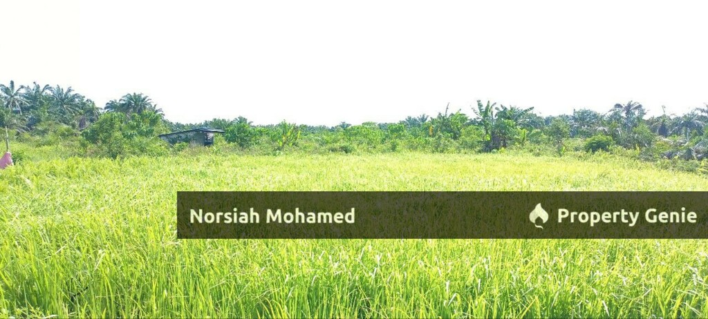 Parit 7 Timur, Pancang Badena, Sungai Besar, Selangor