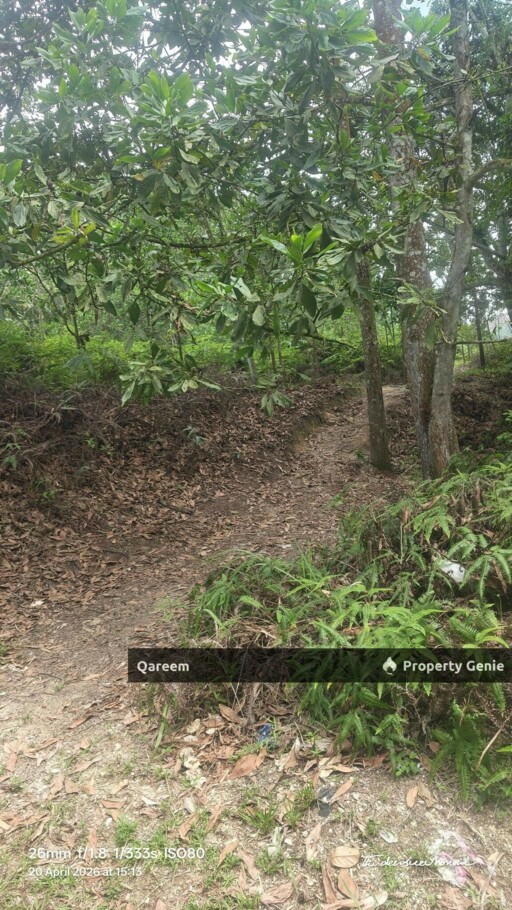 5 Ekar Sungai Tekali. Hulu Langat