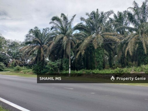 SIMPANG RENGAM JOHOR || KAMPUNG BUKIT KENANGAN || TANAH PERTANIAN || REZAB MELAYU || FREEHOLD || RM1.15 JUTA