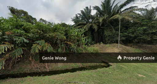 Sedenak Medium Industrial Land For Sale