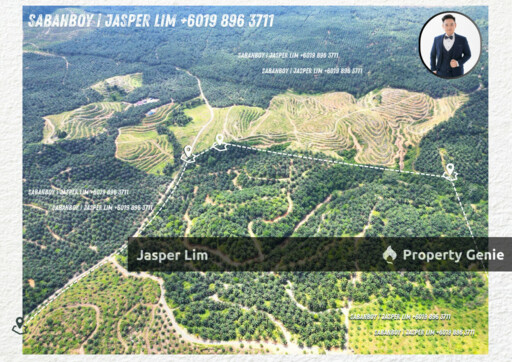 Kunak Plantation Land