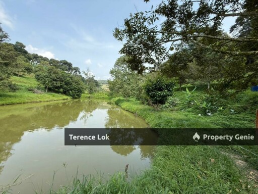 Hosapa, Titi Jelebu Mainroad Land