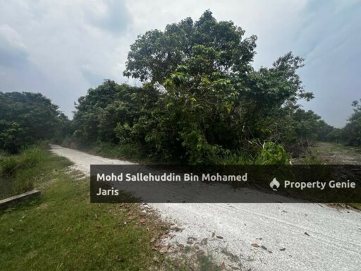 TANAH PERTANIAN 1 EKAR KG SERI DAMAI, KUANTAN PAHANG