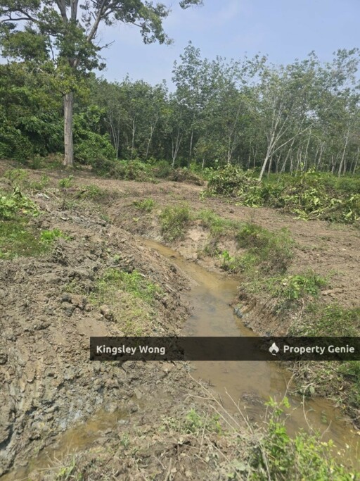 Jerlun, Kuala Kangsar 5.72Acres Agriculture Land Beside Highway