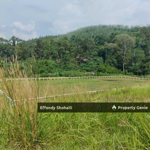 JELEBU KENABOI KG CHENNAH AGRICULTURAL LAND