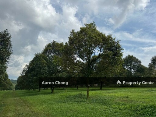 Taman Nuri For Sale Durian Tunggal For Sale Melaka For Sale