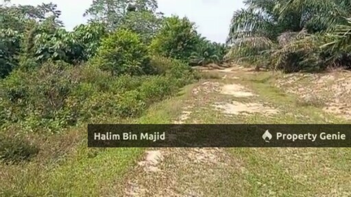 Agriculture land 2.6 acre Lenggeng