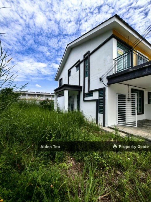 Durian Tunggal For Sale