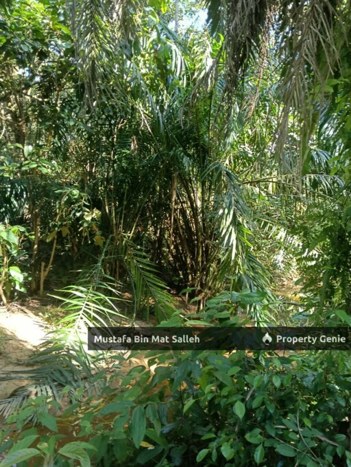 [FREEHOLD] Kampung Sungai Badak, Sedim, Kulim