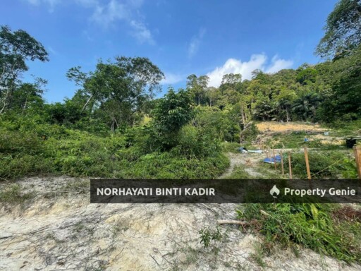 (HOT AREA) TANAH KEBUN DI BUKIT KUIN 2, KUANTAN