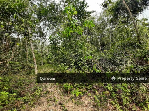 2.5 Ekar Tanah Pertanian Kg Bioh Lenggeng Negeri Sembilan