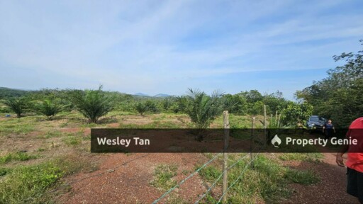 Durian Tunggal Below Value Oil Palm Approx 6.5acres land Freehold Road