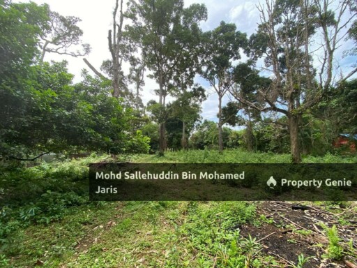 [FREEHOLD] Tanah Pertanian Mukim Beserah