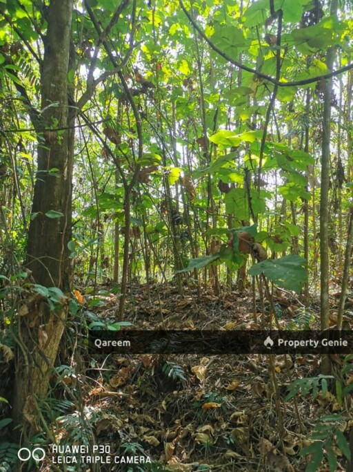 [Corner Lot] 13358 Sft Nilai Spring Residential Land. Nilai. N9
