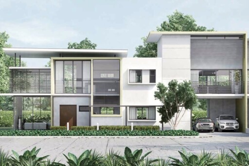Denai Alam : Ficus Peak