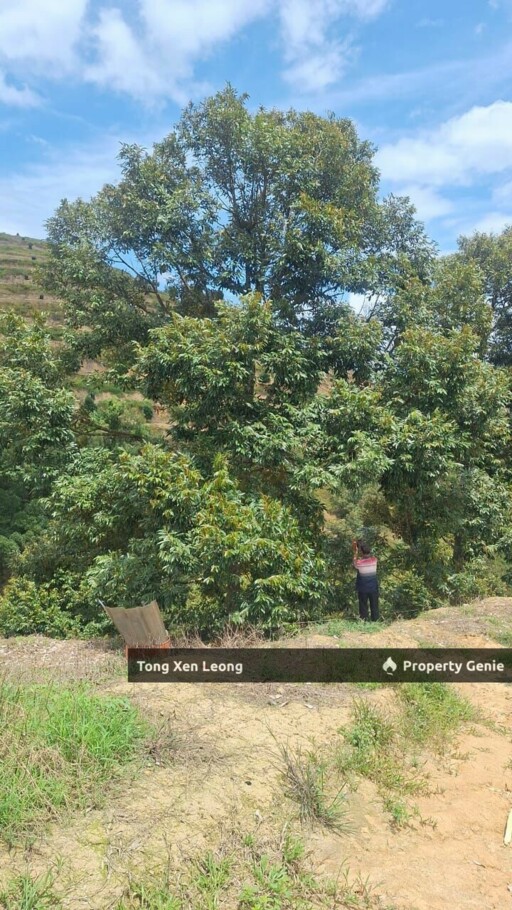 Durian Land in Jelebu Negeri Sembilan For Sale