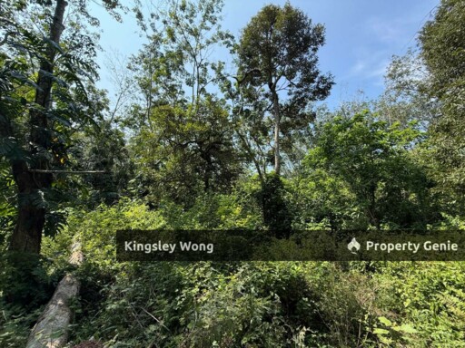 Sungai Siput RE road Freehold 11 Acres Agricultural Land Suitable Poultry farm