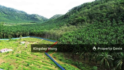 Sungai Siput Jalong Perak Freehold 8.3 Acres Agriculture Land Flat & Sloppy Land
