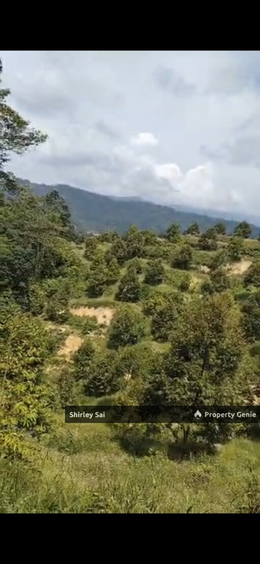 Bentong