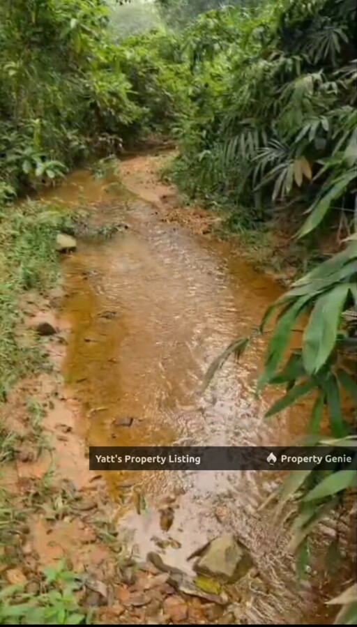 1 Acre Agricultural Land for Sale  Sg Merab, Kajang    Durian Orchard Near River, 5 Mins to IOI City Mall - RM750k  Https://Www.Wassap.My/60163169225/Tanahkgsgmerab1 Acre Agricultural Land for Sale  S