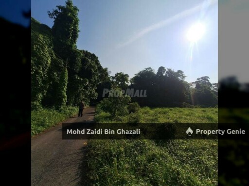 Tanah Pembangunan Kg Chetok