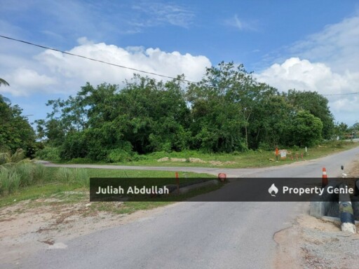 Jelatang Alor Gajah