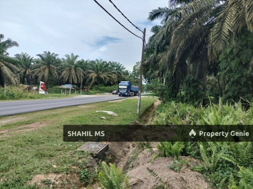 SIMPANG RENGAM JOHOR || KAMPUNG BUKIT KENANGAN || TANAH PERTANIAN || REZAB MELAYU || FREEHOLD || RM1.15 JUTA