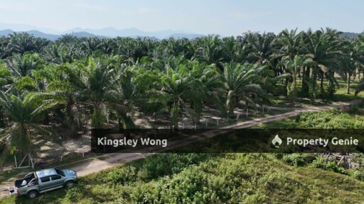 Sungai Siput Jalong Tinggi Freehold Agricultural Land 5 from Main Road