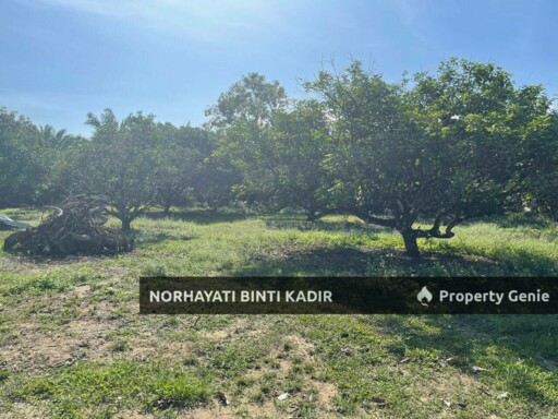 (HOT AREA) LOT BANGLO RTP BUKIT GOH BERHAMPIRAN KOTASAS