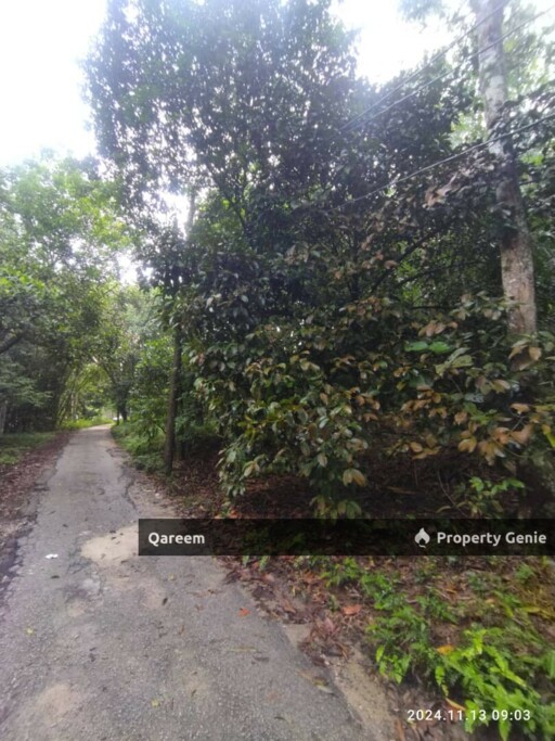 Tanah Cantik 2.16 Ekar Hulu Tamu Batang Kali