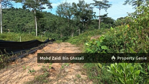 Area 3.78 Acre (1 Lots) of Agriculture Land Along Jenderam to Salak Tinggi Road (B48), Salak Tinggi, Sepang.