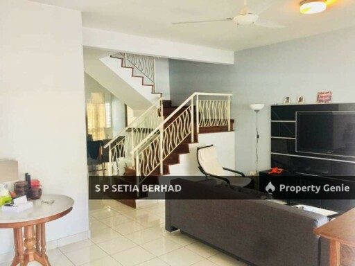 Antiaris, Setia Damai