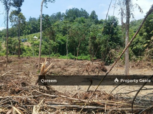 [FEEEHOLD] 3 Ekar Pekan Rasa, Sebelah Sungai. Batang Kali