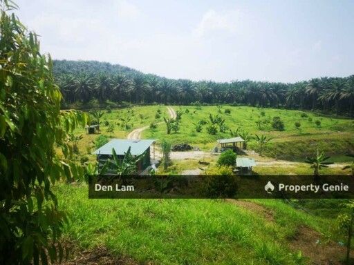 Raub Sungai Ruan Durian Farm for Sale !!