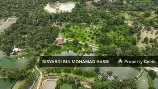 DURIAN FARM SUNGAI MAKAU, HULU LANGAT SELANGOR .