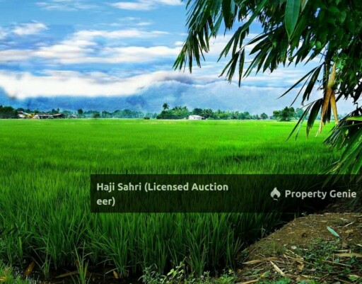 Sebidang Tanah pertanian kosong dengan potensi pembangunan untuk kegunaan kediaman yang beralamat pos di 1166, JALAN ALOR SETAR – KANGAR, 05150, Bandar Alor Setar, Kedah