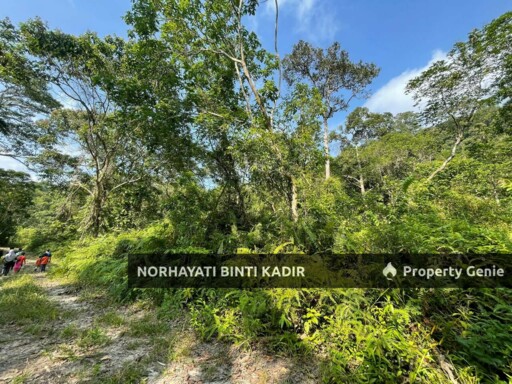 (HOT AREA) TANAH KEBUN DI BUKIT KUIN 2, KUANTAN
