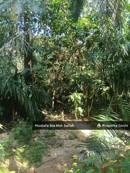 [FREEHOLD] Kampung Sungai Badak, Sedim, Kulim